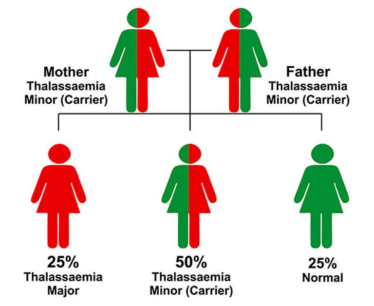 What Is Thalassemia? KITCC